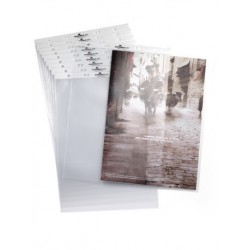 DURABLE 8565 19 PORTRAIT CLEAR VIEW POCKETS 